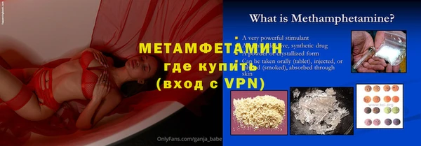 шишки Надым