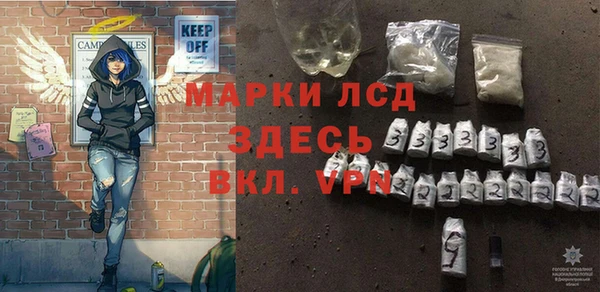 шишки Надым