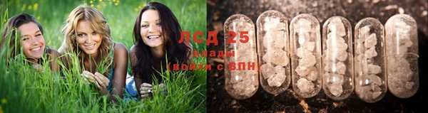 спиды Алексин